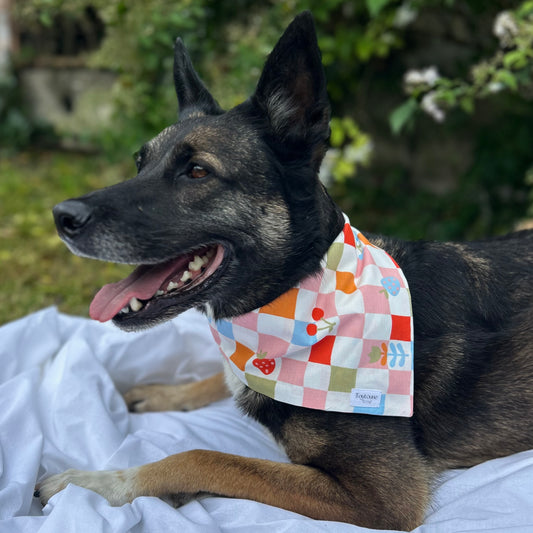 Bandana Damier
