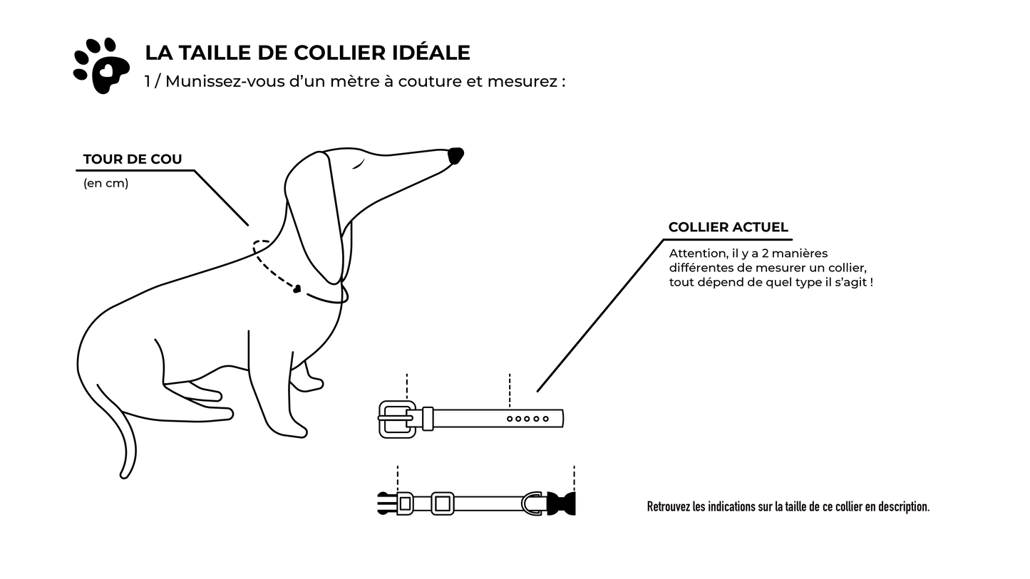 Collier Blue Bouclerie à ardillon (type ceinture)
