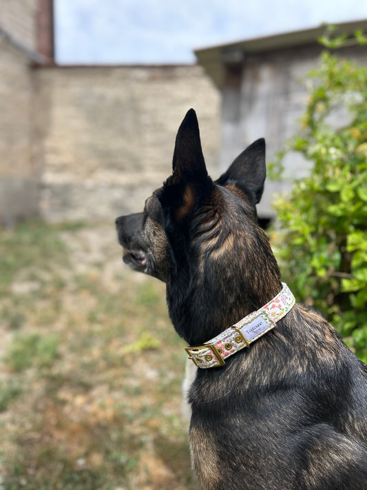 Collier Eden Bouclerie à ardillon (type ceinture)