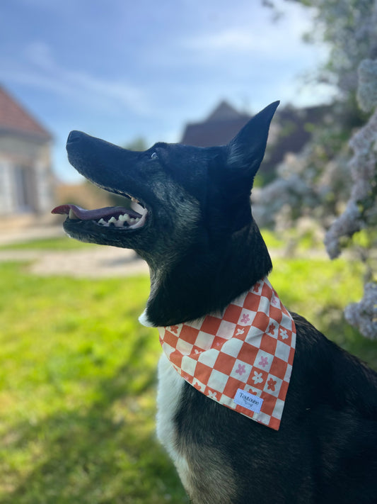 Bandana abricot