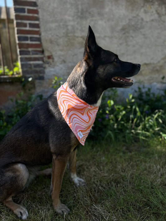 Bandana Pêche
