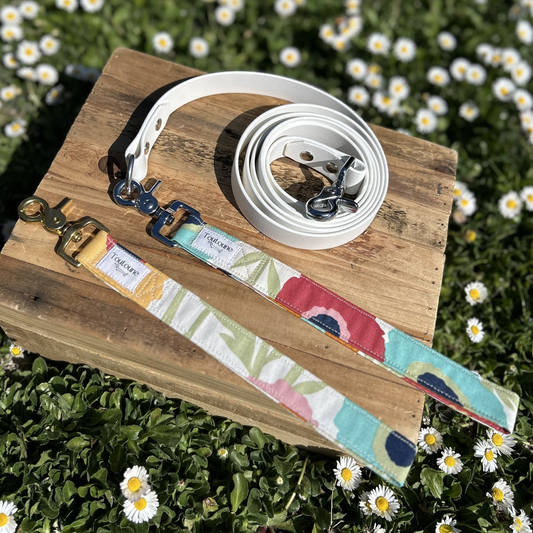 Laisse Biothane poignée interchangeable Spring Blanc