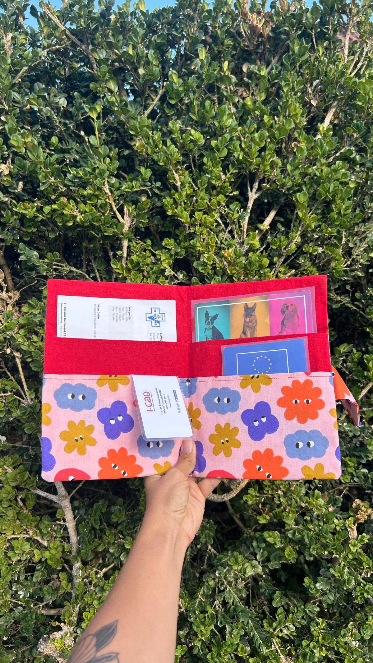 Pochette à carnet de santé Rigolo