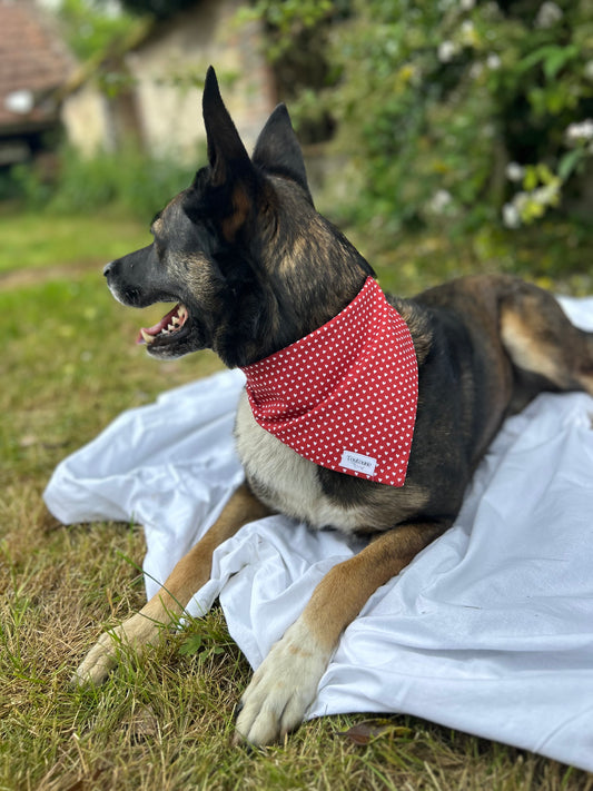 Bandana Mini coeur