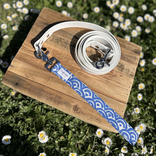 Laisse Biothane poignée interchangeable Santorin Blanc