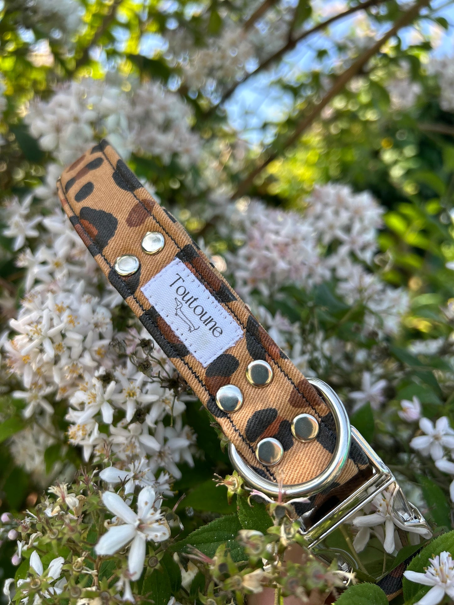 Collier Roar