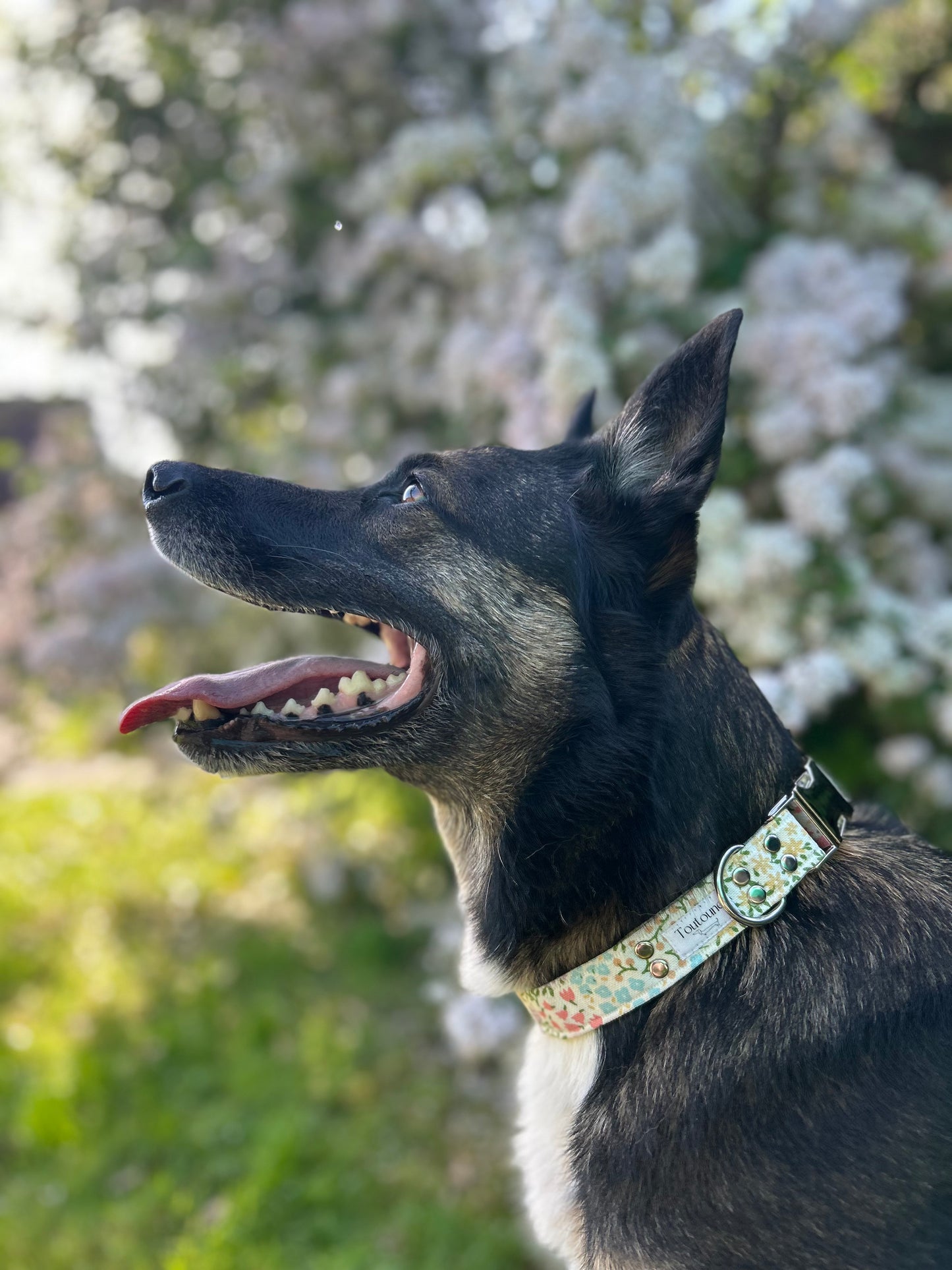 Collier Eden