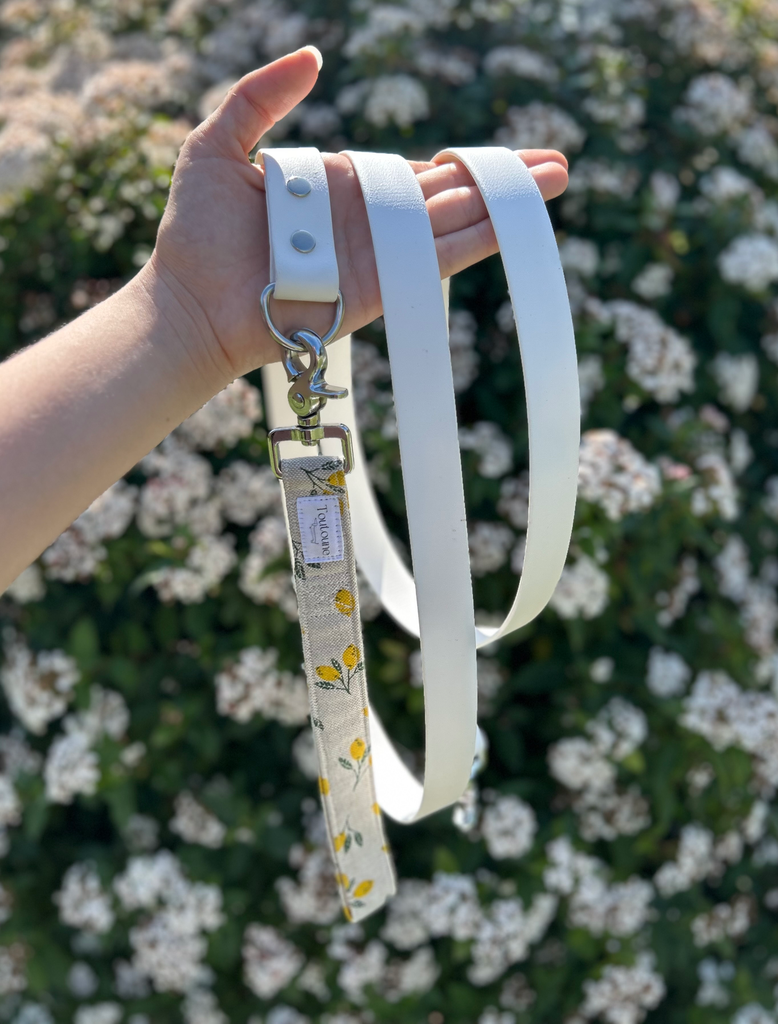 Laisse Biothane poignée interchangeable Sorrento Blanc