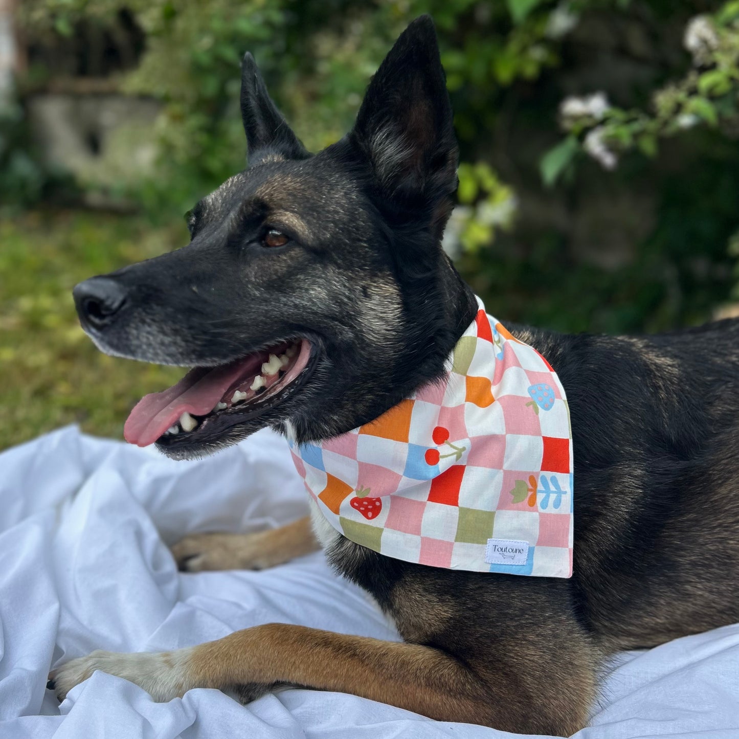Bandana Damier