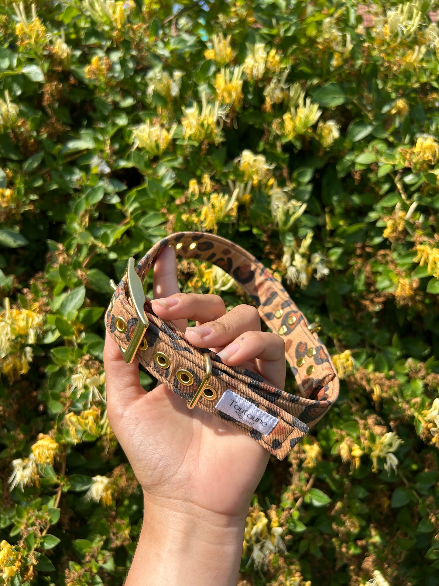 Collier Roar Bouclerie à ardillon (type ceinture)