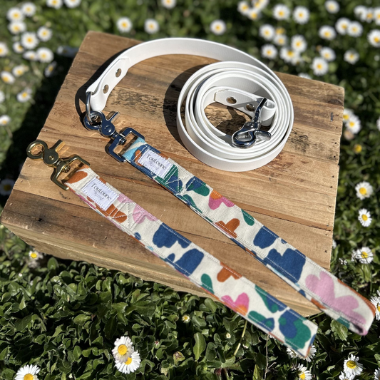 Laisse Biothane poignée interchangeable Rio Blanc