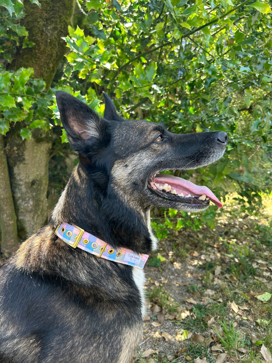 Collier Color Bouclerie à ardillon (type ceinture)