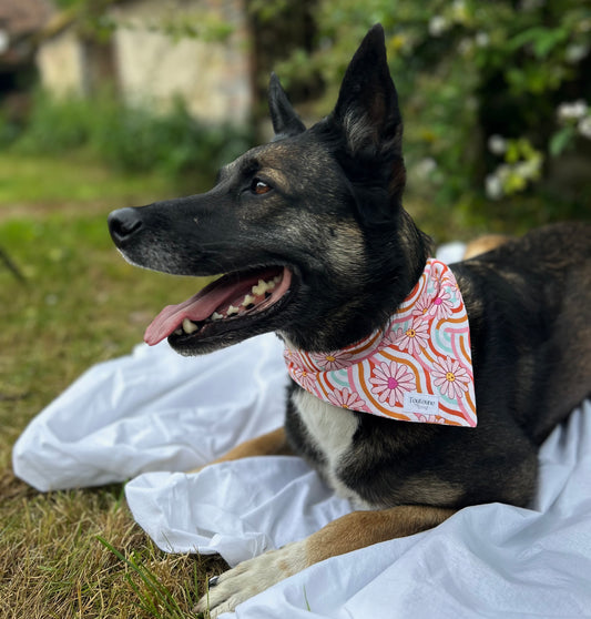 Bandana Paquerettes