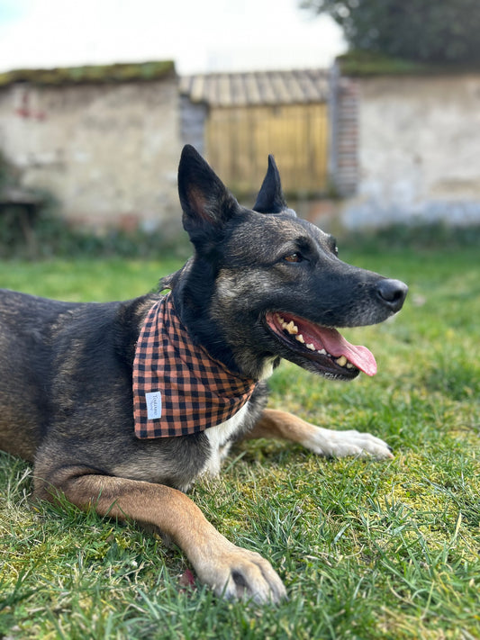 Bandana Carreaux