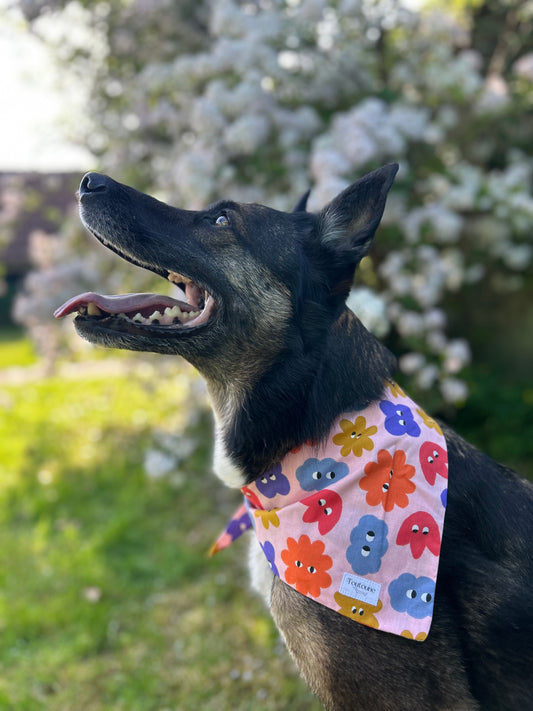 Bandana Rigolo
