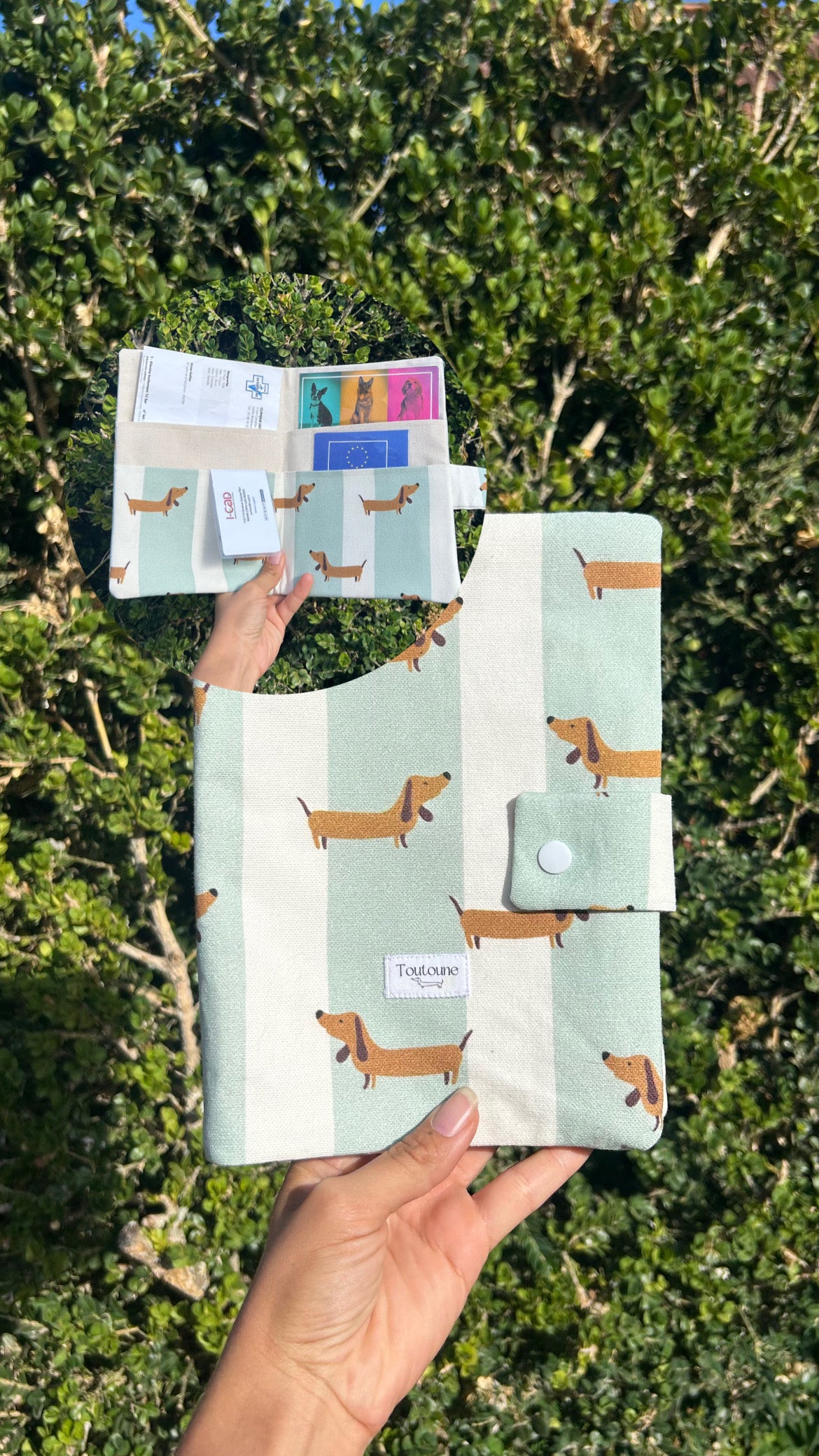 Pochette à carnet de santé Teckel