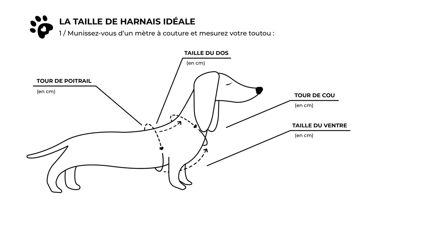Harnais rayé vert