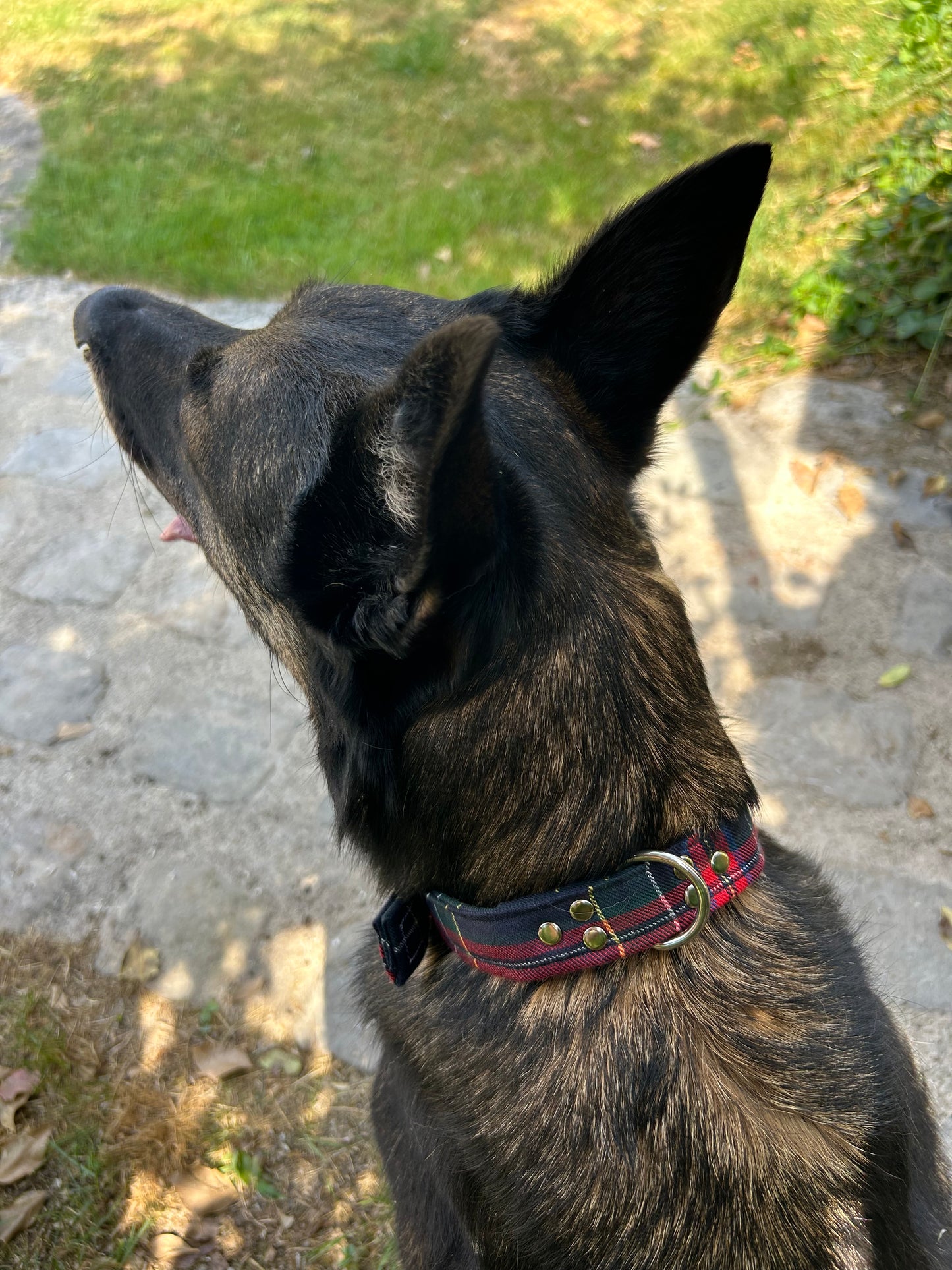 Collier Chic Bouclerie à ardillon (type ceinture)