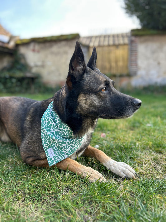 Bandana vert d’eau
