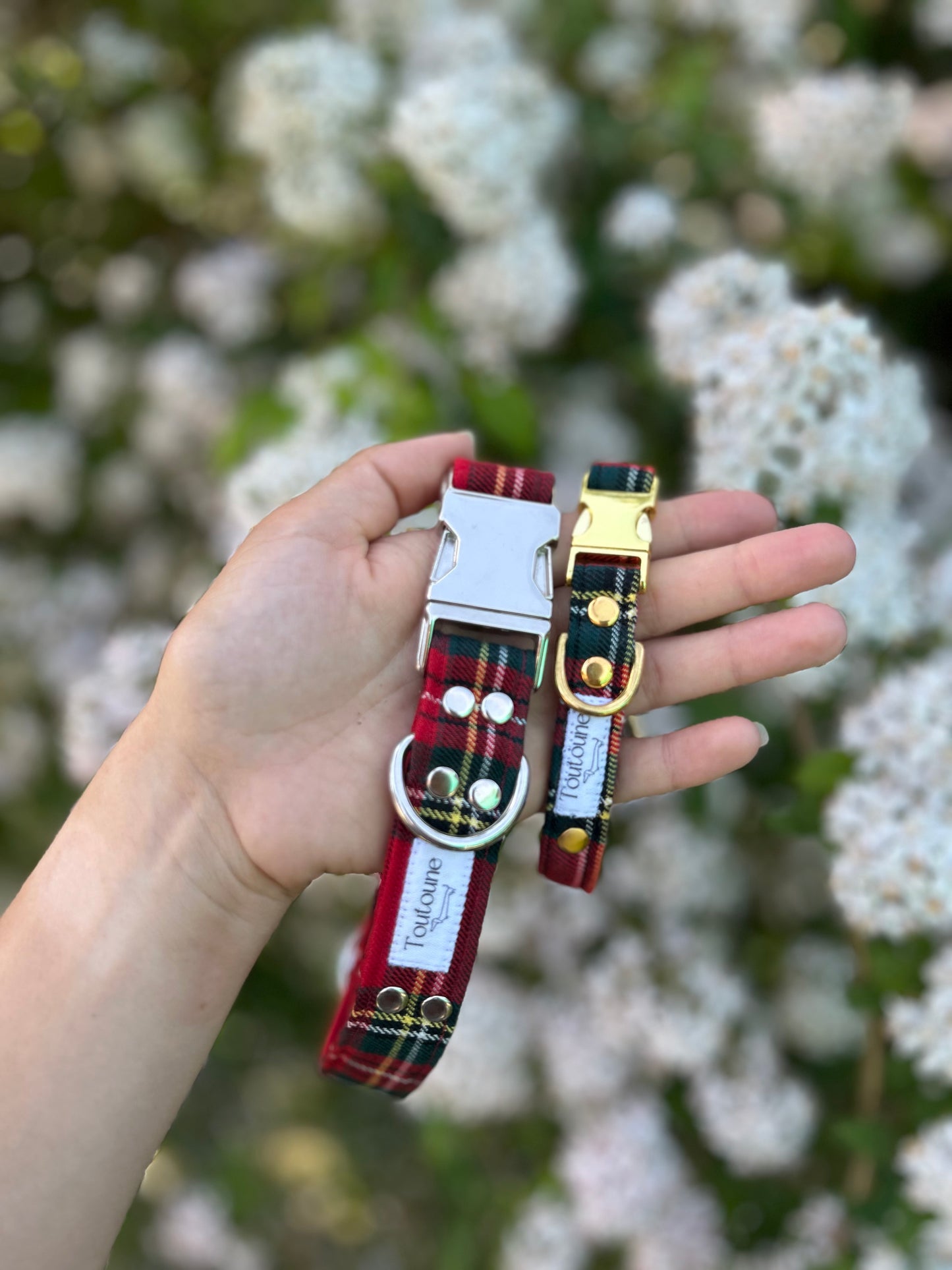 Collier Tartan
