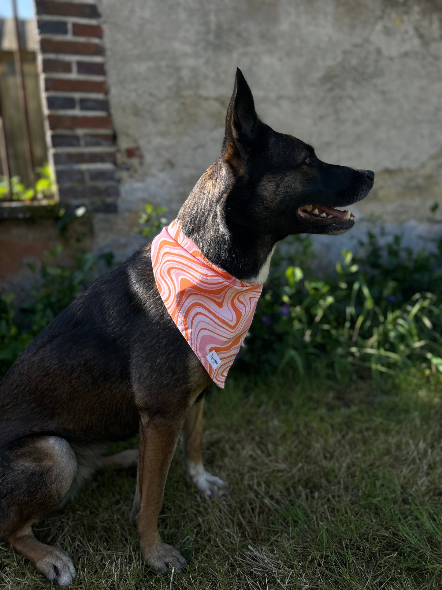 Bandana Pêche