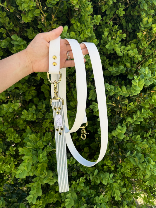 Laisse Biothane poignée interchangeable Rayé Vert Blanc