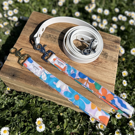 Laisse Biothane poignée interchangeable Gipsy Blanc