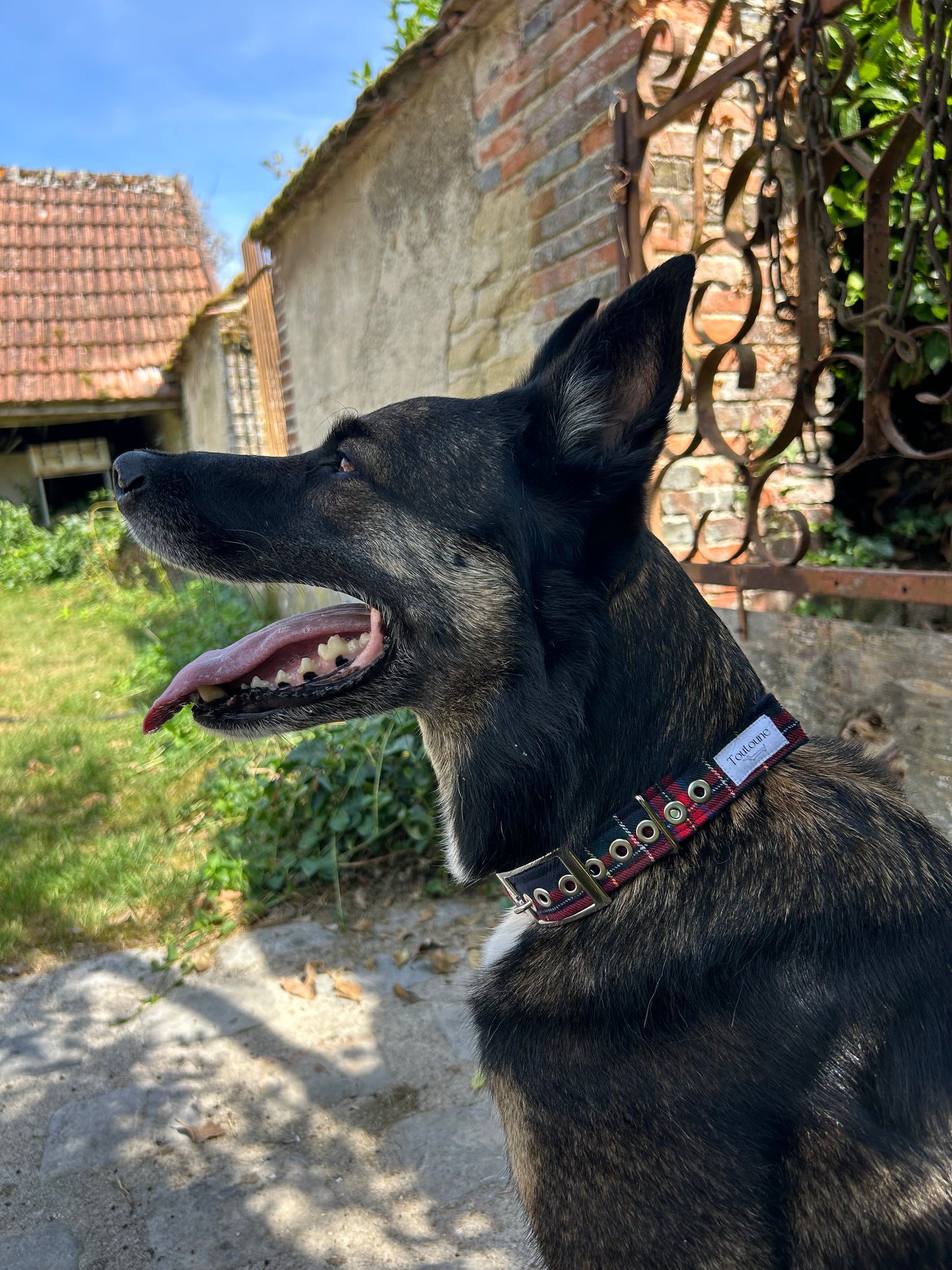 Collier Chic Bouclerie à ardillon (type ceinture)