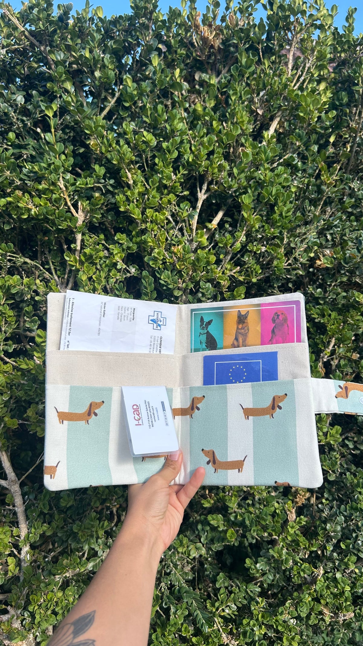 Pochette à carnet de santé Teckel