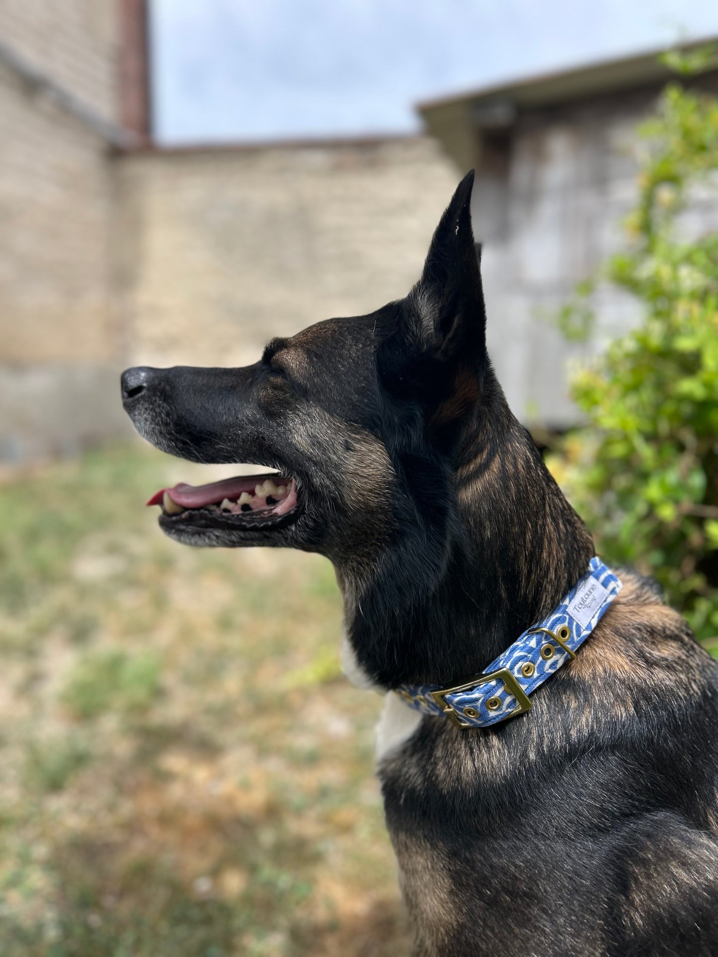Collier Santorin Bouclerie à ardillon (type ceinture)