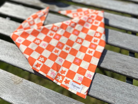 Bandana abricot