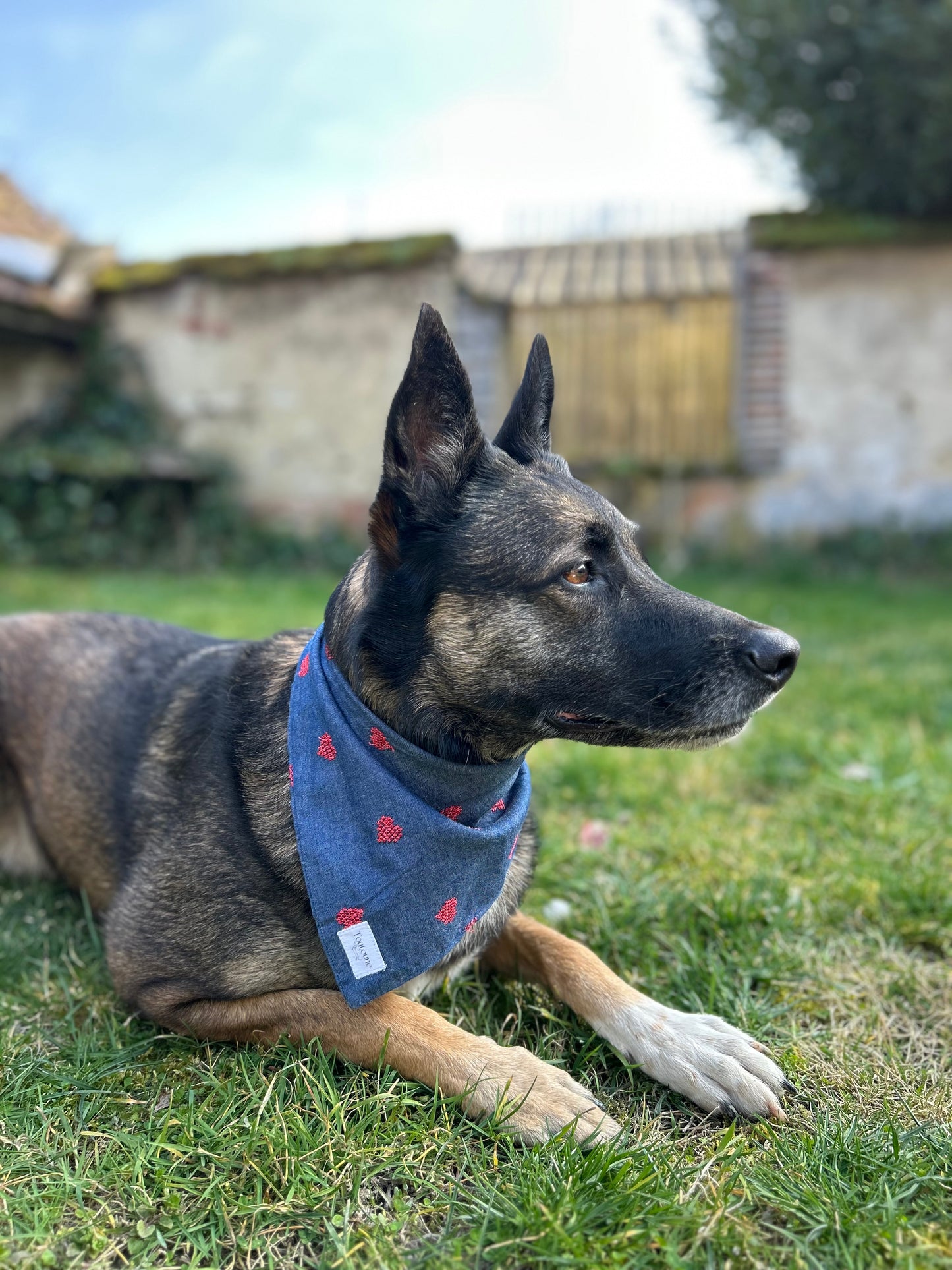 Bandana Petit Coeur