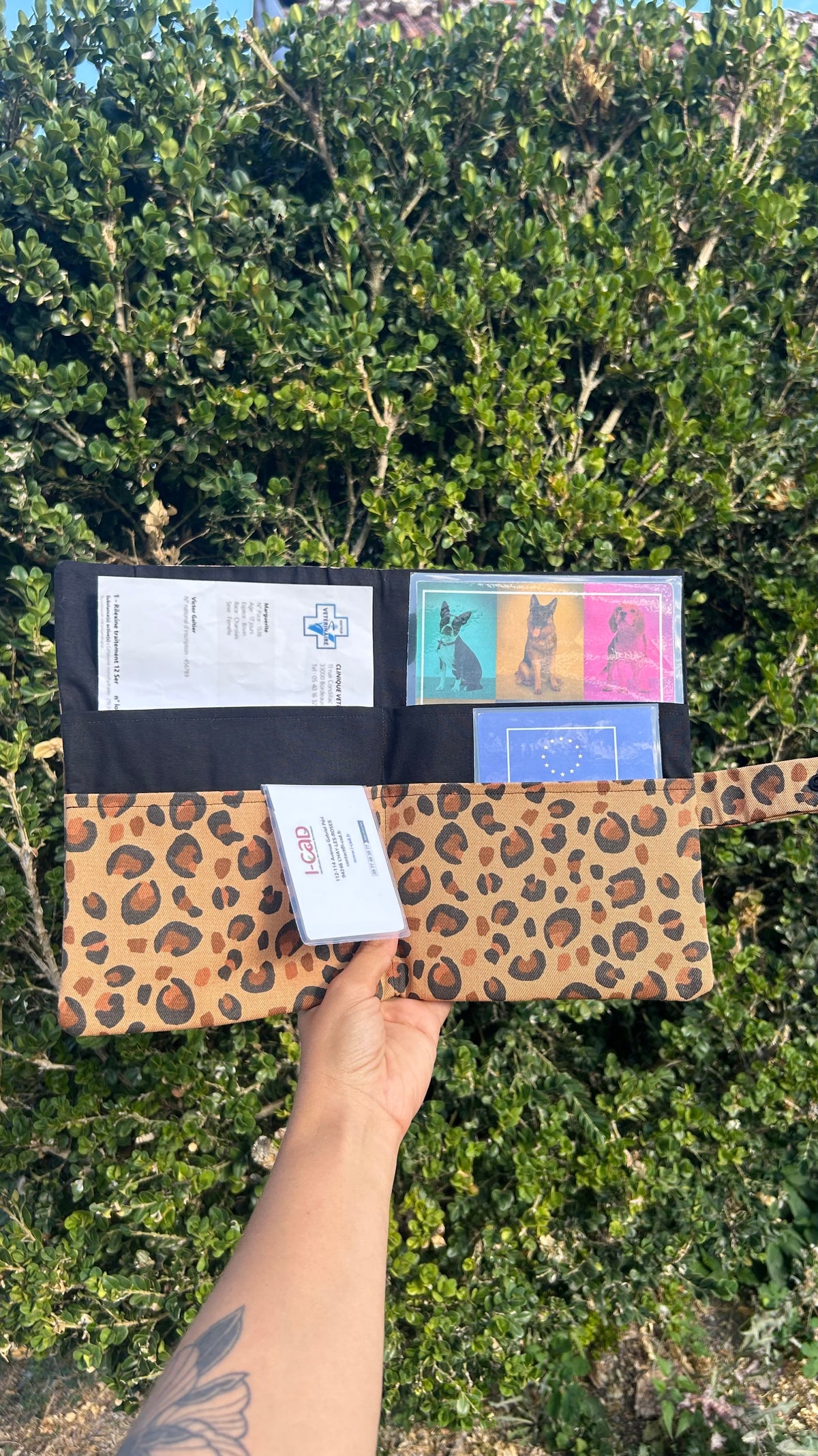 Pochette à carnet de santé Roar