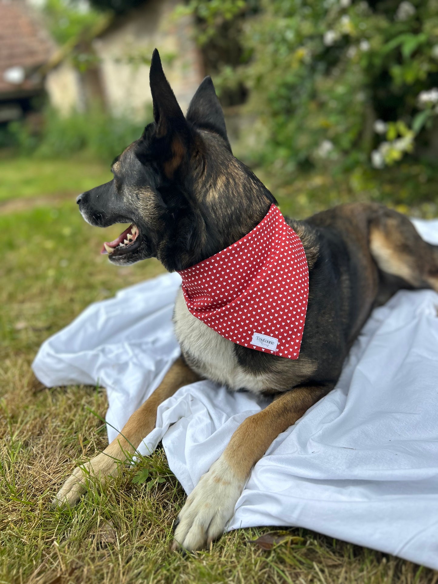 Bandana Mini coeur