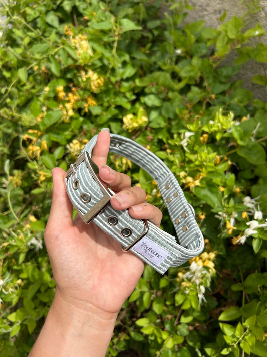 Collier Rayé vert Bouclerie à ardillon (type ceinture)