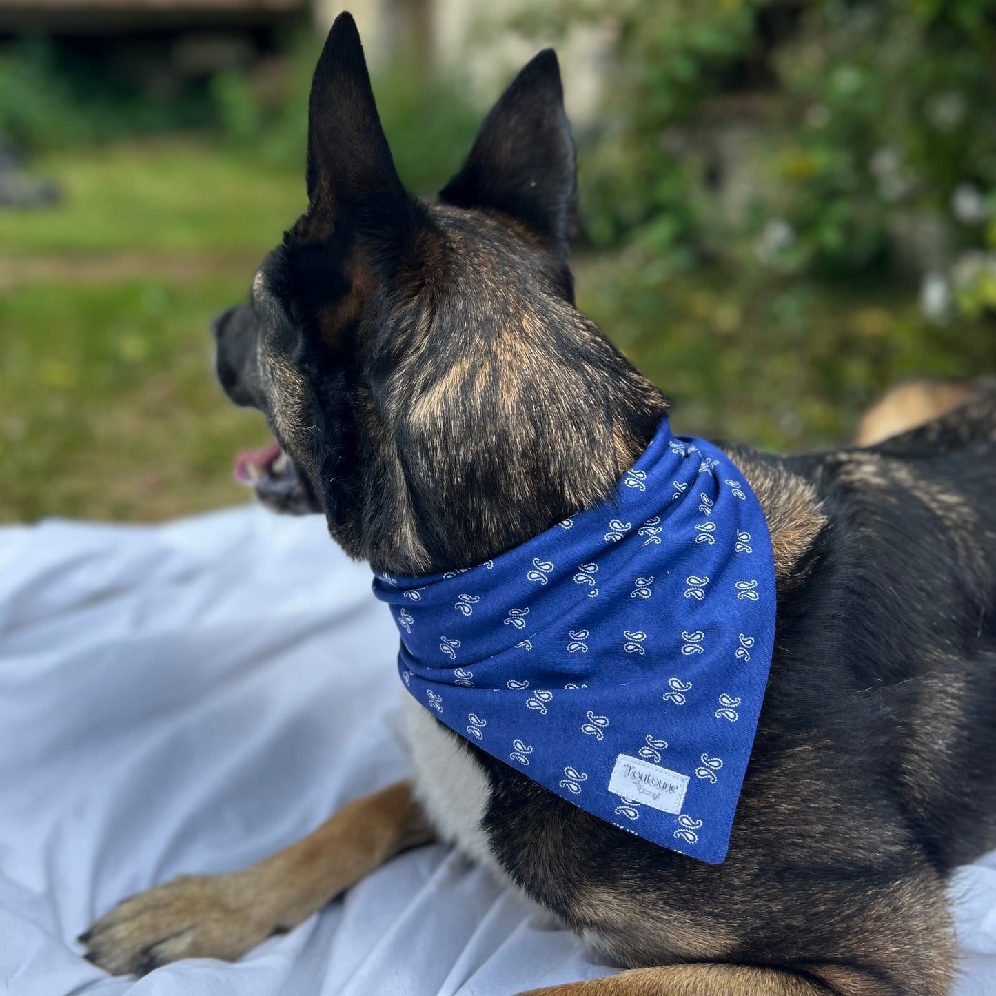 Bandana Boys