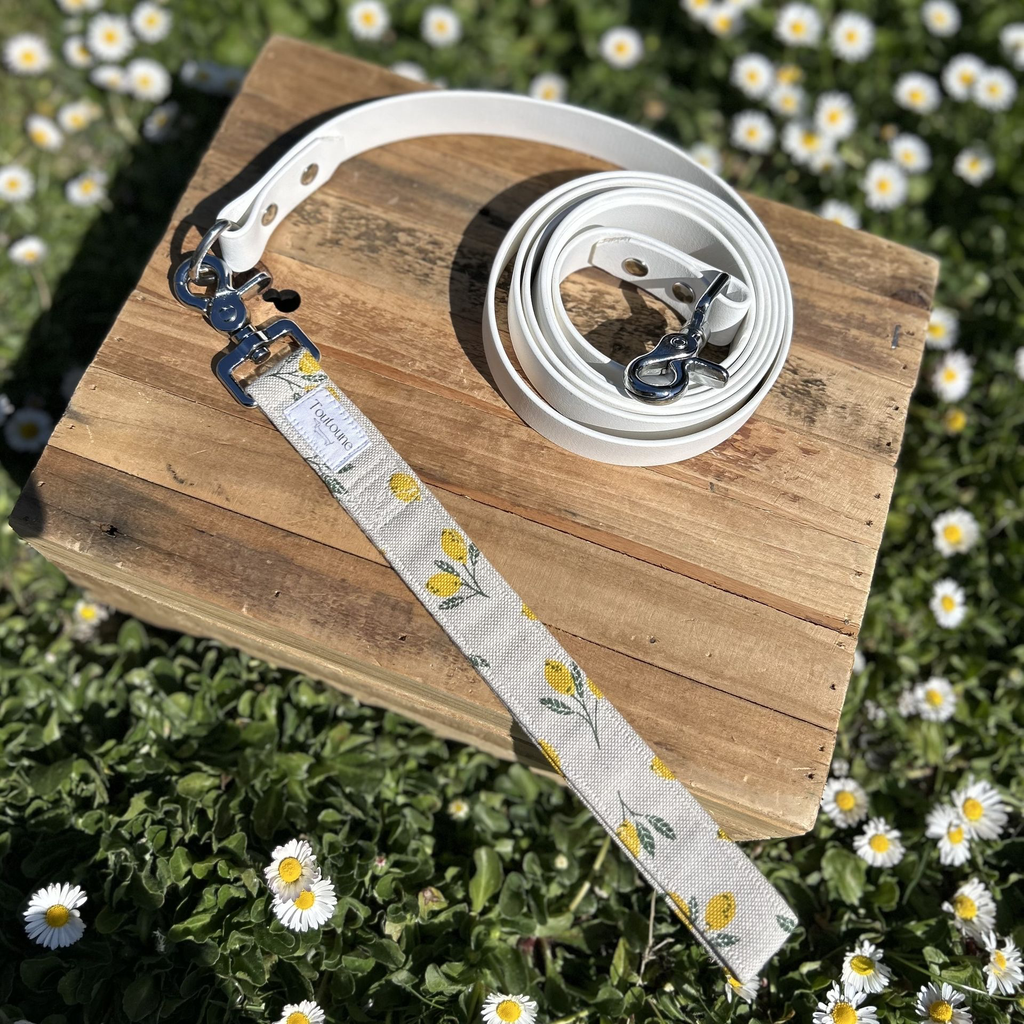Laisse Biothane poignée interchangeable Sorrento Blanc