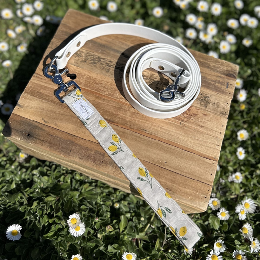 Laisse Biothane poignée interchangeable Sorrento Blanc